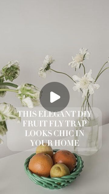 Madame Sweat on Instagram: "This elegant #diy #fruitfly trap looks chic in your home #fruitflytrap" Fruit Fly Trap, Fruit Flies, Fly Traps, Household Tips, Looks Chic, Household Hacks, Fruit, On Instagram, Instagram