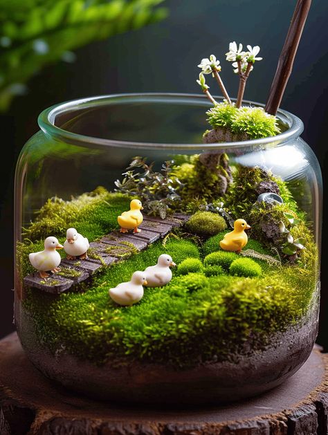 Best Terrarium Plants, Water Terrarium, Fairy Terrarium, Plant Styling, Plants In Jars, Small Terrarium, Mini Zen Garden, Beautiful Terrariums, Succulent Garden Design