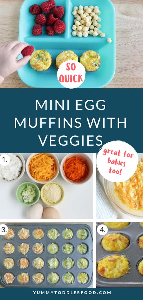 Make-Ahead Egg and Cheese Mini Muffins for a healthy toddler breakfast #toddlerbreakfast #eggmuffins #eggcups Mini Egg Muffins, Healthy Toddler Breakfast, Healthy Finger Foods, Parent Advice, Toddler Breakfast, Mini Quiches, Toddler Lunches, Egg And Cheese, Mini Egg