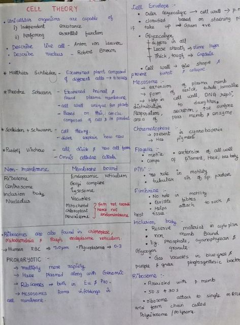 Notes of Cell Theory and Organelles of Cell the unit of life Cell The Unit Of Life, Cell Biology Notes, Neet Notes, Cell Theory, Learn Biology, Plasma Membrane, Study Biology, Medical School Life, Basic Anatomy And Physiology