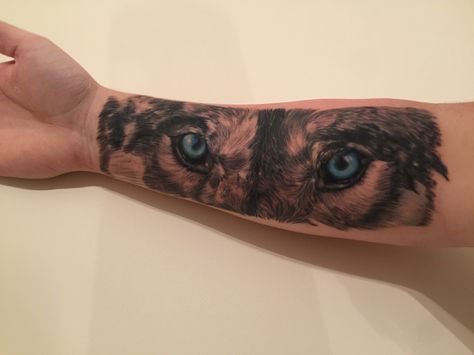 Wolf blue eyes forearm tattoo Wolf Eyes Tattoo Men, Tattoo Sleeve Wolf, Wolf Eyes Tattoo, Eye Tattoo Forearm, Blue Eye Wolf Tattoo, Arm Tattoos Wolf, Wolf Tattoo Red Eyes, Wolf Eye Tattoo Forearm, Wolf Forearm Tattoo