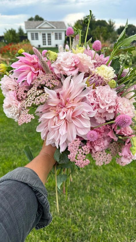 💖✨💖 Featuring Cafe au Lait Royal Dahlia, Summer Pastels Yarrow, Qis Pink Gomphrena, Pink Spike Celosia, & Voyage 2 Pink Lisianthus | Garden Answer | James Quinn · Waterfall Cafe Au Lait Dahlias Bouquet, Gomphrena Bouquet, Celosia Bouquet, Yarrow Bouquet, Pink Dahlia Bouquet, Cafe Au Lait Dahlia Bouquet, Pink Gomphrena, Dahlia Farm, Pink Lisianthus