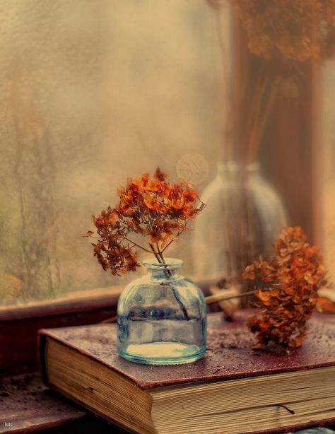 Autumn Still Life, Plants In Bottles, Graphic Wall Art, Vintage Paper Background, Photographers Gallery, Book Flowers, Still Life Photos, Life Ideas, Aesthetic Photography Nature