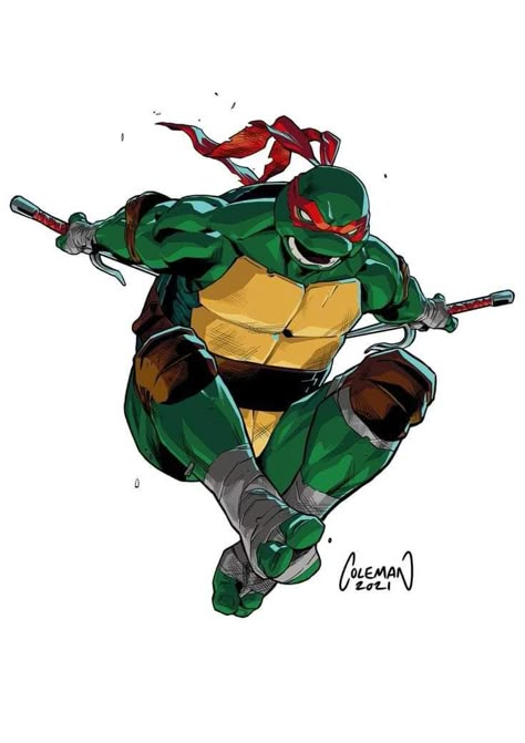 Raphael Artist, Raphael Art, Ninja Turtle Drawing, Tmnt 2003, Aang The Last Airbender, Raphael Tmnt, Ninja Turtles Movie, Tmnt Comics, Teenage Mutant Ninja Turtles Artwork