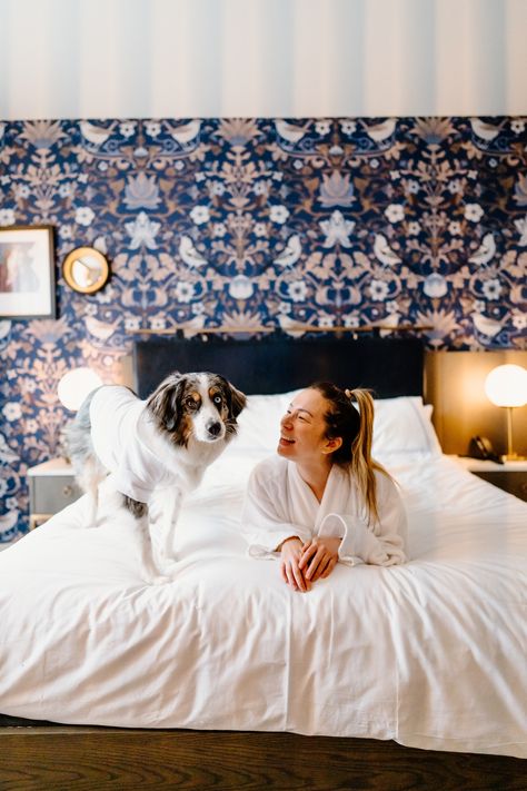 The Portrait Of Dorian Gray, Portrait Of Dorian Gray, Homemade Dog Biscuits, Pet Friendly Hotel, Hotel Pet, Downtown Calgary, Dog Dishes, Plush Dog Bed, Dog Friendly Hotels