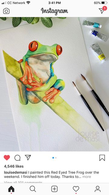 Gouache Tree, Frog Watercolor, Red Eyed Tree Frog, Frog Art, Tree Frog, Tree Frogs, Animals Art, Red Eyes, Gouache Painting