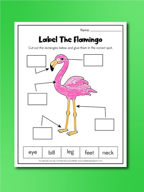 Flamingo Worksheets For Kids [Free Printable] Flamingo Activities, Flamingo Printables, Flamingo Crafts, Flamingo Facts, Worksheets For Toddlers, Shark Activities, Kindergarten Spring, Flamingo Craft, August Summer