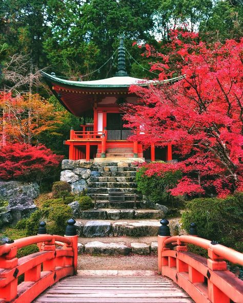 Bentendo Hall at Daigoji Temple in Kyoto. The temple dates back to 874 and is located southeast of central Kyoto. Daigoji is designated as a world heritage site. If you are planning on visiting next year, mid to late November is the best time to see the autumn foliage at this temple. We hope you are enjoying the holiday time!🎄✨ . . . . . #kyoto #autumnleaves #AGameOfTones #japantrip #japanesestyle #instatraveling #instatrip #insta_japan #japanese_temple #ilovejapan #passionpassport #l.. Japan Autumn, Japanese Buildings, Visit Kyoto, Japan Holidays, Japan Landscape, Japan Vacation, Chinese Art Painting, Japanese Temple, Asian Garden