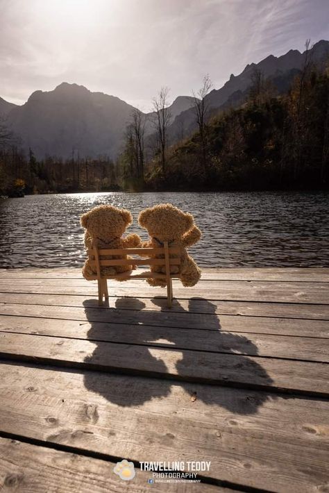 Teddy Photography, A Park, Park Bench, Teddy Bears, Bears, Bench, Photography