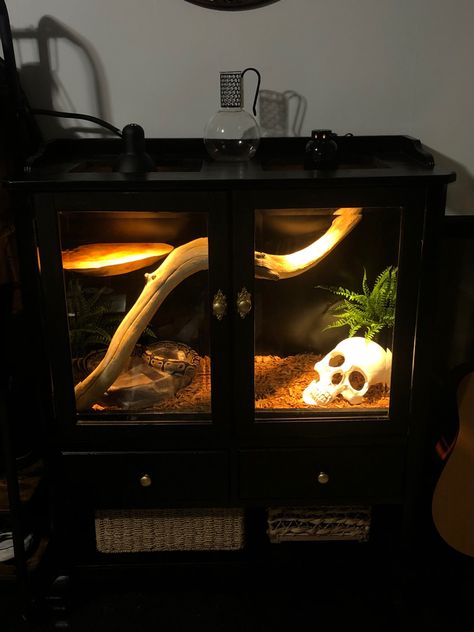 Old wine cabinet turned into a snake enclosure Reptile Terrarium Ideas Diy, Gothic Snake Enclosure, Marys Crib, Snake Cage Ideas, Snake Enclosure Ideas Diy, Snake Terrarium Ideas, Diy Snake Enclosure, Ball Python Enclosure, Python Enclosure