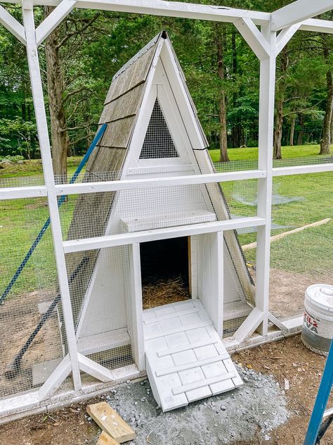 Raising Ducks: Our Experience! Duck House And Run, Runner Duck House, Duck House Ideas, Duck House Diy, Duck Run, Duck Feeder, Ancona Ducks, Duck Enclosure, Rouen Duck