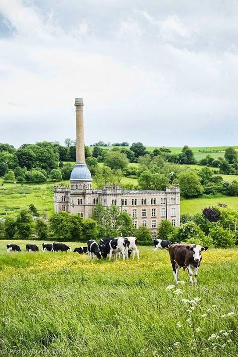 A gorgeous photo of the Mill, Chipping Norton, Oxfordshire. A picturesque area of outstanding natural beauty, found in the rolling hills of the Cotswolds. Chipping Campden, Chipping Norton, British Countryside, Slow Travel, The Cotswolds, Village Life, Very Busy, England Travel, Uk Travel