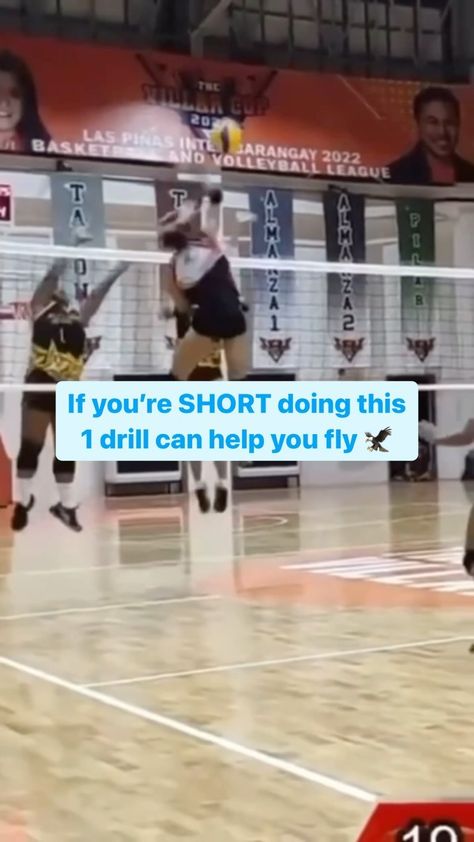 The Art of Jumping | The Jump Guy | 🤗 Short Athletes CAN jump higher!!! Please tag this athlete 👇🏻 for credit Being able to create speed is one thing. Being able to… | Instagram Volleyball Court Dimensions, Volleyball Conditioning, Hit Training, Volleyball Camp, Vertical Jump Training, Jump Higher, Softball Drills, Volleyball Skills, Volleyball Practice