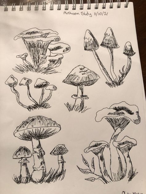 Cottagecore Drawing Reference, Canvas Drawings Pencil, Sketches Fairycore, Shaggy Ink Cap Mushroom Drawing, Giant Mushroom Drawing, Simple Fantasy Drawings Art, Earthy Sketches, Scetchbook Draws Ideas Pencil Easy, Nature Drawing Aesthetic