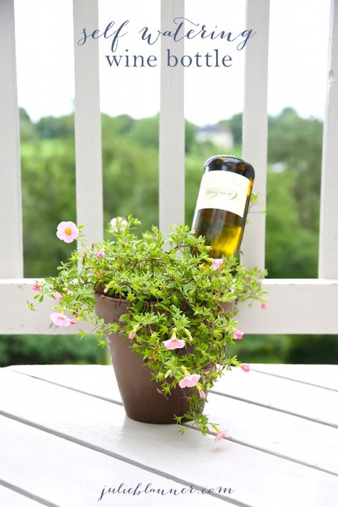 How to make a self watering system for your plants with a bottle Self Watering Bottle, Diy Self Watering Planter, Reuse Wine Bottles, Self Watering Containers, Plants In Bottles, Bottle Garden, Sacred Spaces, Wine Bottle Diy, Self Watering Planter