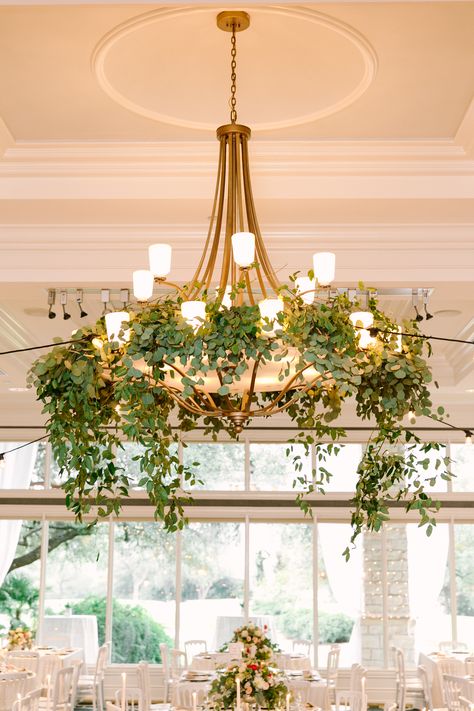 The chandelier over the dance floor will be adorned with silver dollar eucalyptus and wild smilax vine. www.stemfloral.com | www.livbydesignevents.com | www.mymintphotography.com | www.austincountryclub.com Chandelier Greenery, Decorate Chandelier, Floral Chandelier Wedding, Chandelier Wedding Decor, Country Chandelier, Green Chandeliers, Wedding Photography Pricing, Wedding Chandelier, Flower Chandelier