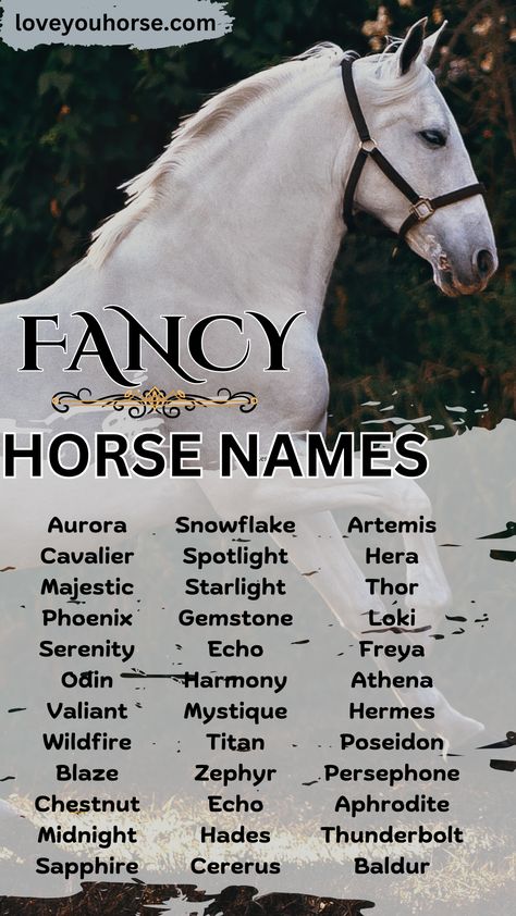 Choosing a name for your horse is a meaningful and personal decision, reflecting not only the horse’s personality but also the owner’s tastes and creativity.

From classic names inspired by literature and mythology to modern monikers reflecting pop culture icons, there is a vast array of names that can imbue your horse with elegance, strength, and individuality.

Whether you’re naming a majestic stallion or a graceful mare, the right name can capture the essence of your equine companion. Horse Names And Show Names, Names For Horses, Best Horse Names, Minecraft Barn, Horse Hacks, Pop Culture Icons, Cowgirl Stuff, Elegant Horse, Horse Things