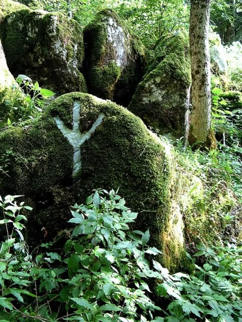 Algiz, the rune for protection. May it protect the wild woods from the barbarian judeo-christians, and their modern plastic world descendants, who unlike our pagan ancestors, view nature as a mere source of raw materials! May those "science" and money worshipping demons all drown in their own feces!!! May the old ways be restored after the Ragnarök! May Algiz protect you, who agree with what I just said! Viking Aesthetic, Norse Tattoo, Norse Pagan, Image Nature, Witch Aesthetic, Geocaching, Norse Mythology, Coven, Gods And Goddesses