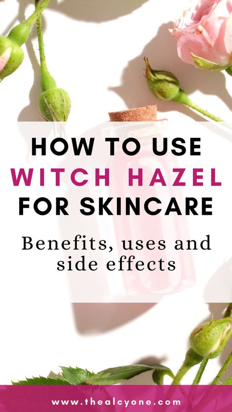 What Is Witch Hazel, Benefits Of Witch Hazel, Witch Hazel Acne, Witch Hazel Uses, Witch Hazel For Skin, Cystic Acne Remedies, Thayers Witch Hazel, Witch Hazel Toner, Anti Aging Secrets