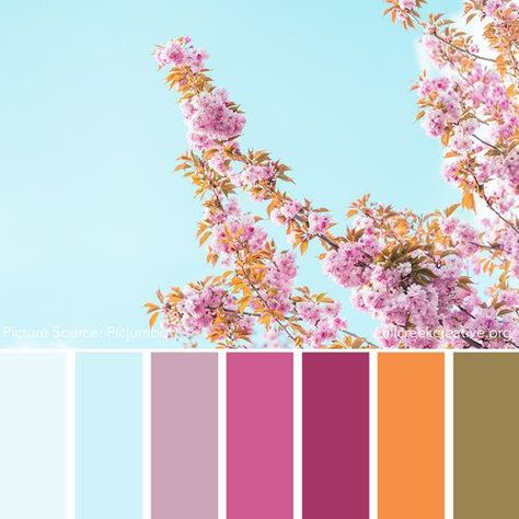 Colors of Spring: 20 Spring Color Palettes for Inspiration — Mill Creek Creative Creativity Journal, Heirloom Carrots, Bright Paint Colors, Paint Color Combos, Spring Tones, Spring Palette, Spring Color Palette, Fresh Color Palette, Color Schemes Colour Palettes