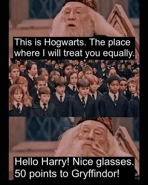 30 Harry Potter Memes for Enchanting Hogwarts Ladies Searching for Their Chosen One - CheezCake - Parenting | Relationships | Food | Lifestyle Harry Potter Funny Quotes, Harry Potter Memes Clean, Harry Potter Theories, Your A Wizard Harry, Harry Potter Funny Pictures, Harry Potter Quotes Funny, The Golden Snitch, Harry Potter Background, Nice Glasses