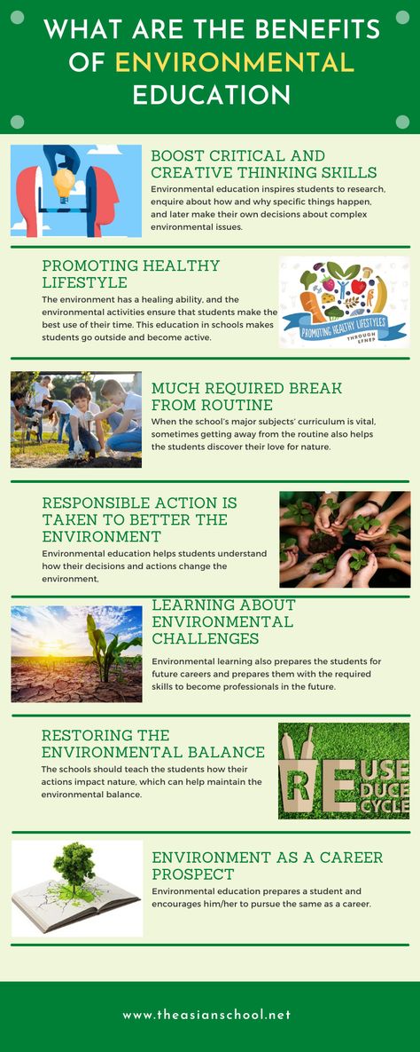 Environmental Projects Schools, Environment Infographic, Environmental Education Activities, Environmental Science Major, Environment Science, Childcare Teacher, Sustainable Schools, Dr Ambedkar, Sustainability Education