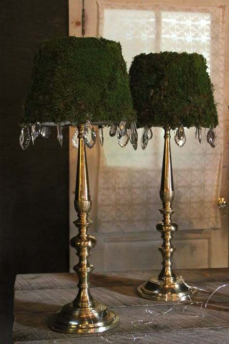 Fabulous, giant, gold candlesticks with moss covered "lampshades" embellished with crystals...made especially for the Barr/LaPointe wedding, designed by Bilancia Designs. Moss Lampshade Diy, Moss Chandelier, Moss Lampshade, Moss Covered, Crystal Lamp Shade, Moss Lamp, Fairytale Home Decor, Moss Decor, Deco Nature