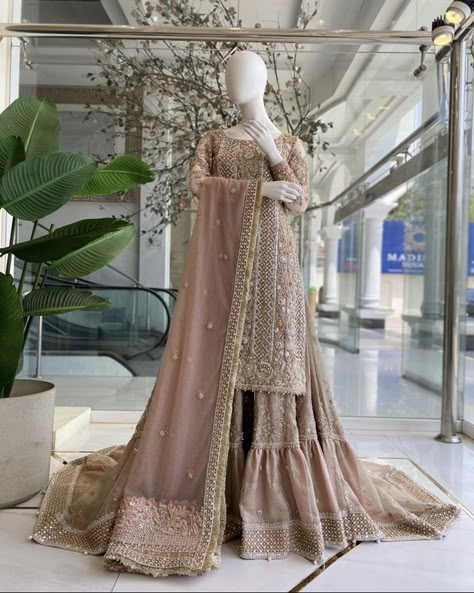 Pakistani Women Dresses, Fancy Suit, Desi Wedding Dresses, Latest Bridal Dresses, Bridal Dresses Pakistan, Fancy Dresses Long, Pakistani Fancy Dresses, Beautiful Pakistani Dresses, Pakistani Wedding Outfits