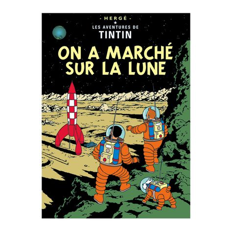 Tintin Poster, Captain Haddock, Herge Tintin, The Adventures Of Tintin, Adventures Of Tintin, Comics Illustration, Cover Books, Classic Comic Books, French Books