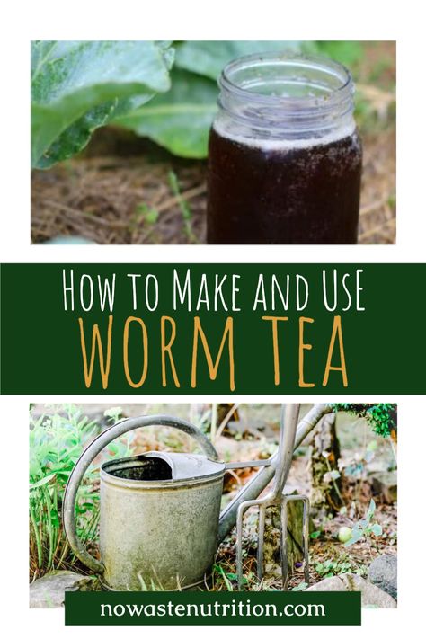 Vermicomposting Worm Farm, Worm Farm Diy, Garden Knowledge, Worm Tea, Worm Castings Tea, Worm Farming, Sustainable Homestead, Worm Bin, Diy Compost