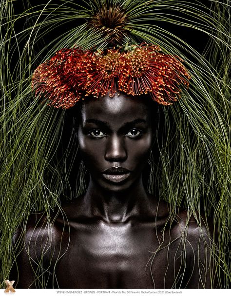 Photographer STEVEN MENENDEZ - Queen of africa - Portrait - BRONZE - World's Top 10 Fine Art Photo Contest 2021 Queen Amina, Nature Queen, African Nature, African Warrior, Hair Photoshoot, Hello Hair, Entry Room, Architectural Landscape, Floral Foliage