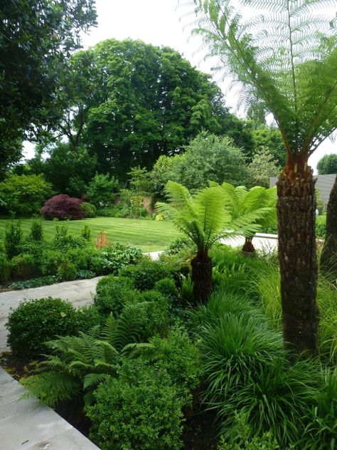 Fern Garden, Garden Tropical, Ferns Garden, Barn House Design, Tree Fern, Lawn And Landscape, Side Garden, Home Landscaping, Top Soil