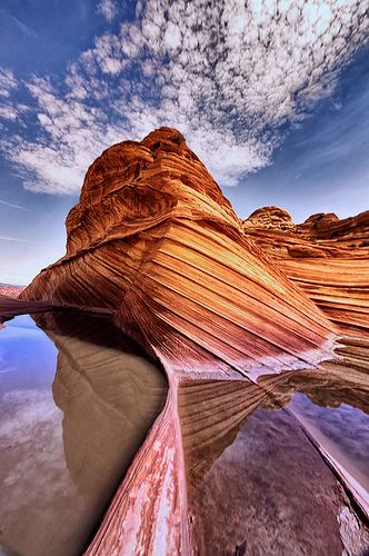 Studies of the Wave 4 The Wave Arizona, Coyote Buttes, Utah Parks, Places In Usa, Scenic Photos, Enjoy Nature, Rock Formations, The Wave, Landscape Photos