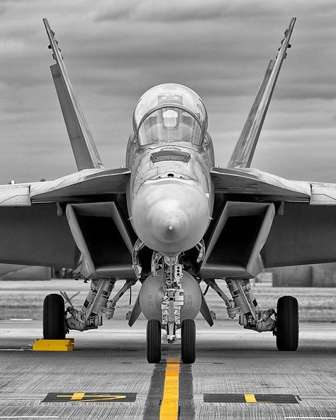 F 18f Super Hornet, Fa18 Super Hornet, Fa18 Hornet, Jet Fighter Pilot, Art Shed, Fixed Wing Aircraft, Super Hornet, Airplane Fighter, Drawing Accessories