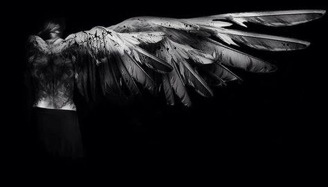 Thanatos Aesthetic, Angel Falls, Maximum Ride, Ange Demon, Angel Aesthetic, Angels And Demons, Fallen Angel, Pics Art, Shadowhunters