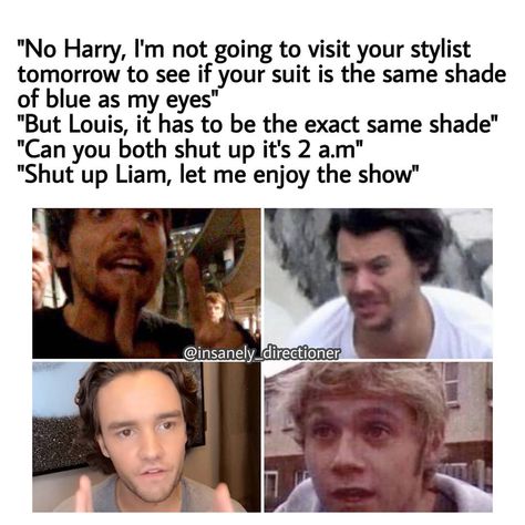 1 Direction Memes Funny, One Direction Tweets Funny, 1d Funny Pictures, 1d Memes Hilarious, 1 Direction Funny, Larry Memes Hilarious, 1d Memes Funny, Larry Stylinson Memes Funny, One Direction Memes Funny