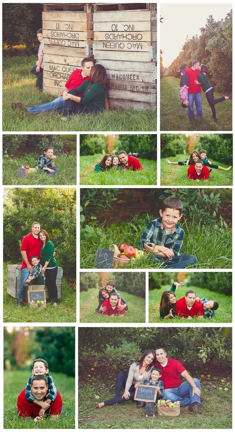 Apple Orchard Family Pictures, Orchard Pictures, Apple Orchard Photography, Apple Orchard Pictures, Apple Pictures, Orchard Ideas, Apple Party, Apple Picture, Autumn Family Photography