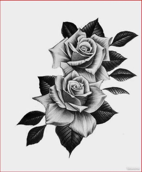 Rose Leaves Tattoo Design, 2 Rose Tattoo Design, Black Roses Tattoo Design, 4 Roses Tattoo Design, Black And Grey Flower Tattoo Design, Rose Drawing Tattoo Realistic, Roses Design Tattoo, Rose Tatooes, Black And Grey Drawings