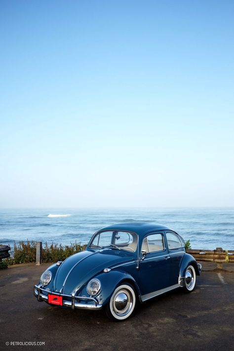 It’s Zelectric: Why This Volkswagen Beetle Could Be The Perfect EV Classic • Petrolicious Vw Beetle Custom, Vw Beetle Accessories, Volkswagen Beetle Vintage, Vw Beetle Convertible, Sandakan, Vw Sedan, Volkswagen New Beetle, Beetle Convertible, Vw Beetle Classic