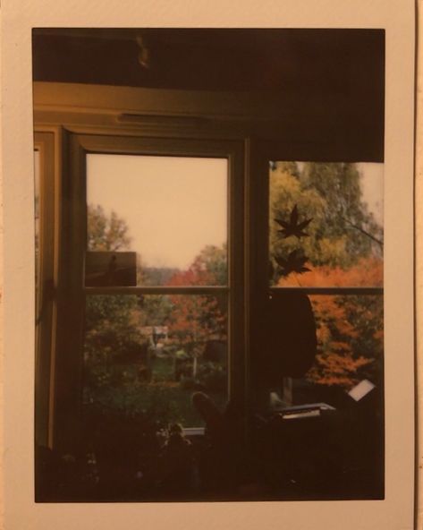 Autumn Aesthetic Playlist Cover, Spring And Fall Aesthetic, Fall Aesthetic Album Cover, Fall Aesthetic Playlist Cover, Fall Aesthetic People, Fall Album Cover Spotify, Fall Aesthetic Spotify Cover, 70s Autumn Aesthetic, Autumn Aesthetic Phone Layout