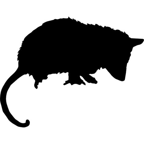 opossum- by Freepik-Flaticon-Animals-Pin-99 Turtle Cute, Forest Vector, Stencil Graffiti, Rabbit Vector, Silhouette Cameo Tutorials, Animal Categories, Nocturnal Animals, Artists For Kids, Animal Silhouette