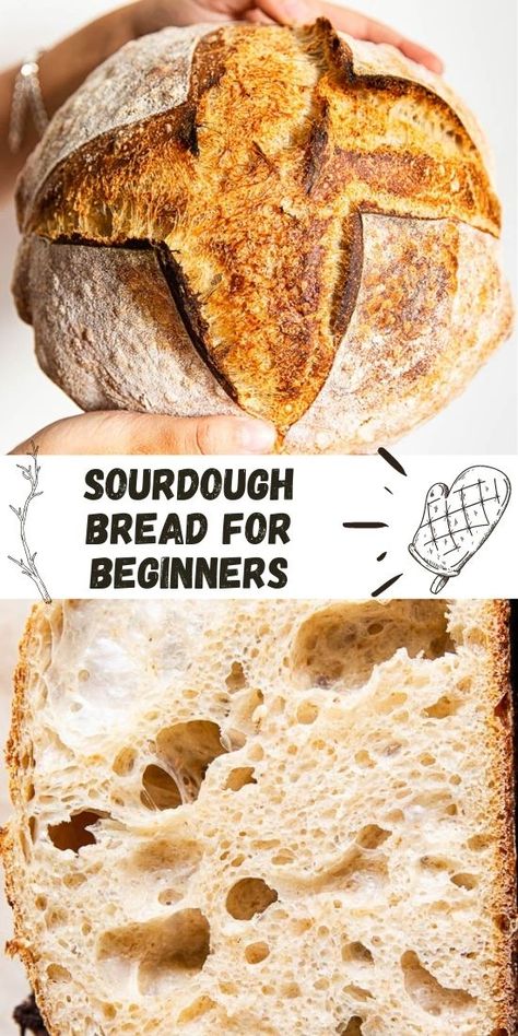 Best Sourdough Starter Recipe, Bread For Beginners, Easy Sourdough Bread Recipe, Recipe Using Sourdough Starter, Sourdough Bread Starter, Sourdough Starter Discard Recipe, Homemade Sourdough Bread, Bread Starter, Artisan Bread Recipes