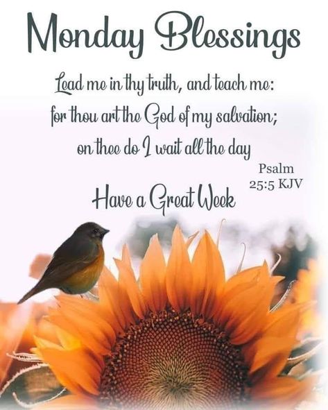 Happy Monday Blessings, New Week Prayer, Monday Morning Greetings, Morning Verses, Monday Morning Blessing, Labor Day Quotes, Morning Scripture, Blessing Quotes, Peace Scripture