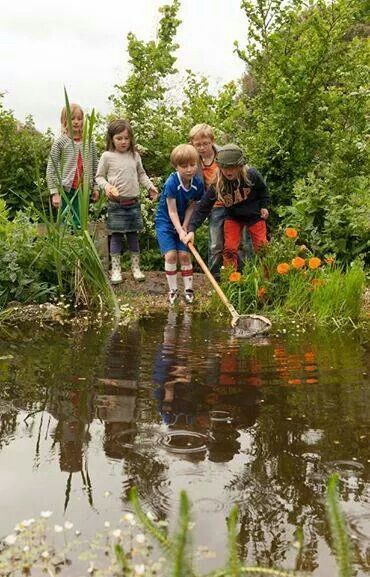 Pond dipping Pond School Project, Pond Life Kindergarten Activities, From The Pond Classroom, Pond Activities, Pond Dipping, Large Wildlife Pond, Forest School Activities, Maria Montessori, School Activity