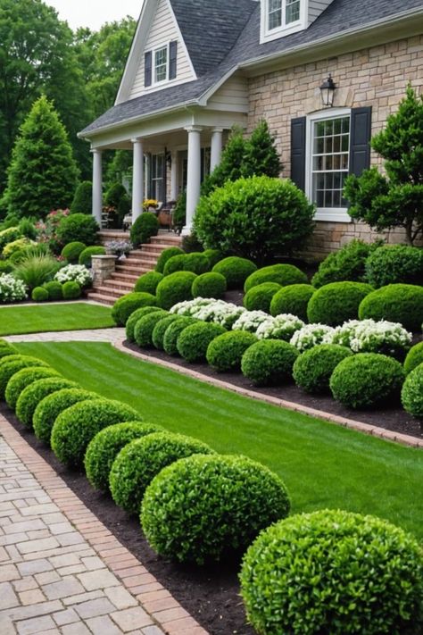 Classic Front Garden, Beautiful Yards Ideas, Front Yard Garden Design Ideas, Boxwood Foundation Planting, Landscaping Side Of House, Boxwood Landscaping Front Yard, French Landscaping, Garden Border Ideas, Frontyard Landscape