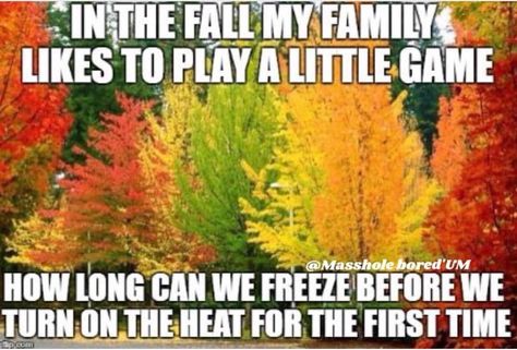 New England Pride Funny Af Memes, Fall Humor, Fall Memes, Morning Funny, Memes Of The Day, Funny Picture, Morning Humor, In The Fall, Bones Funny