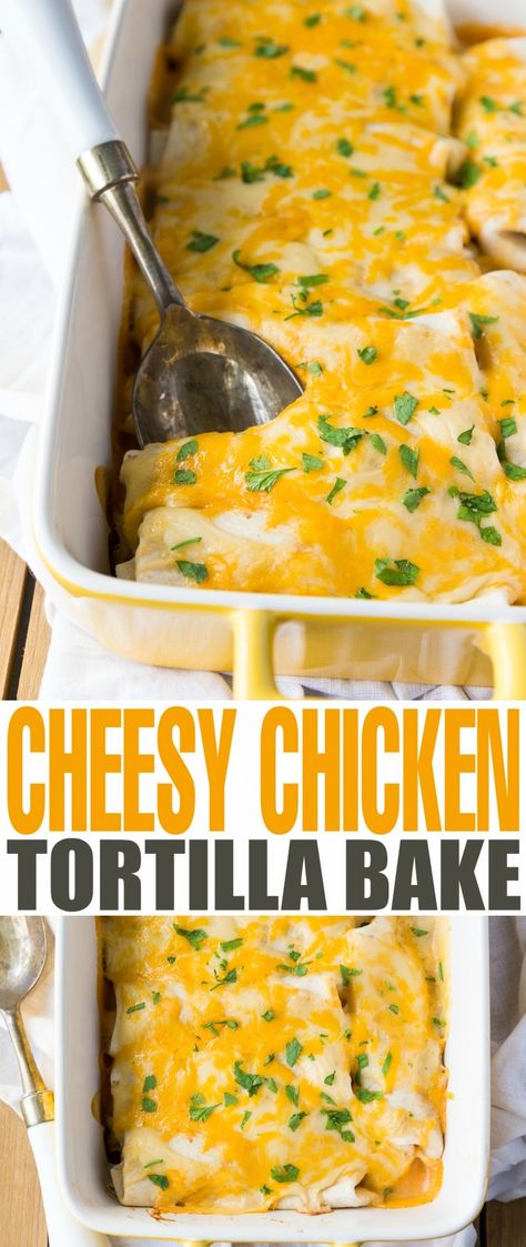 This is a delicious recipe my family has made for years.  An easy dinner filled with delicious cheese sauce and chicken.  The best part is that it is inexpensive and can be made ahead of time and reheated.  Plus, it freezes well too! Chicken Tortilla Recipe, Chicken Tortilla Bake, Chicken Tortilla Casserole, Tortilla Bake, Easy Chicken Dinner, Taco Taco, Favorite Recipes Chicken, Pre Cooked Chicken, Frugal Mom