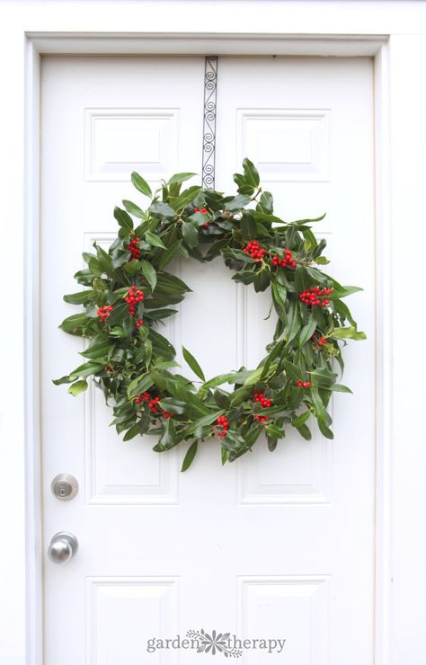 This easy-to-make fresh holly wreath dotted with bright red berries is a traditional way to decorate for Christmas. See how to make one at home in this DIY. Foraged Wreath, Holly Wreaths, Herb Wreath, Twig Crafts, Living Wreath, Fresh Wreath, Garden Therapy, Holiday Greenery, Holly Wreath