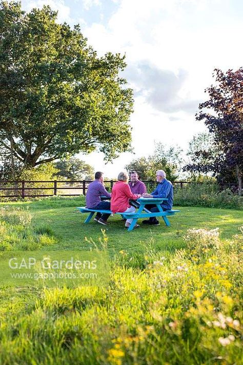 People sitting at newly assembled picnic bench in meadow Picnic Bench, Plant Photography, People Sitting, A Picnic, Garden Landscaping, Garden Plants, Gap, Bench, Photography