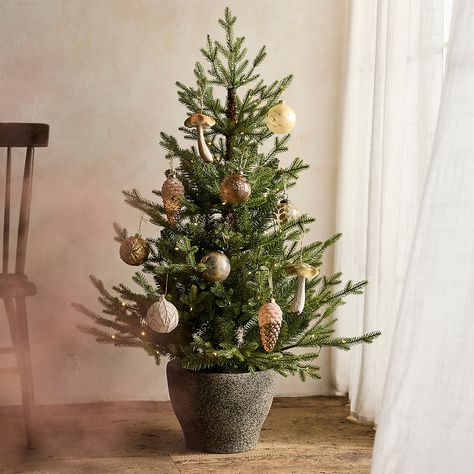 Potted Christmas Tree, French Christmas Decor, Natal Natural, Christmas Coffee Table Decor, Norway Spruce, Winter Planter, Diy Christmas Decor, Christmas Mantle Decor, French Christmas